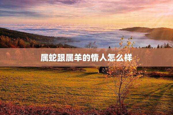 属蛇跟属羊的情人怎么样