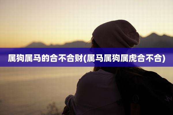 属狗属马的合不合财(属马属狗属虎合不合)