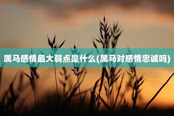 属马感情最大弱点是什么(属马对感情忠诚吗)