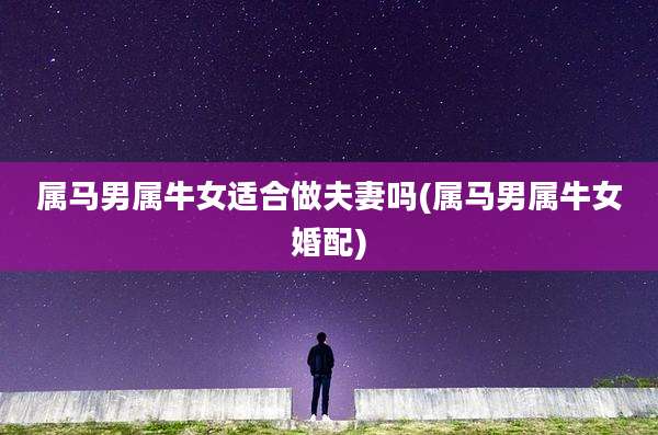 属马男属牛女适合做夫妻吗(属马男属牛女婚配)