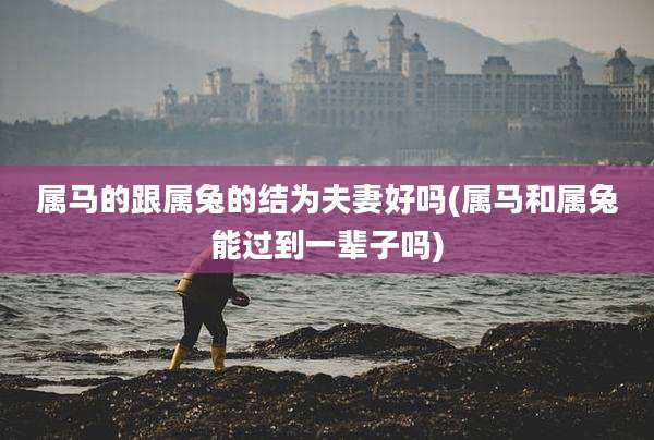 属马的跟属兔的结为夫妻好吗(属马和属兔能过到一辈子吗)