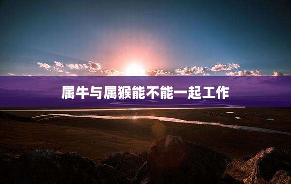 属牛与属猴能不能一起工作