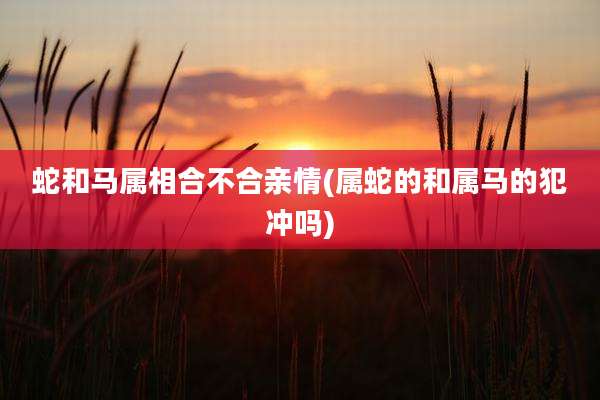 蛇和马属相合不合亲情(属蛇的和属马的犯冲吗)