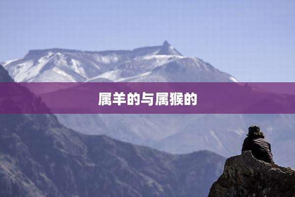 属羊的与属猴的