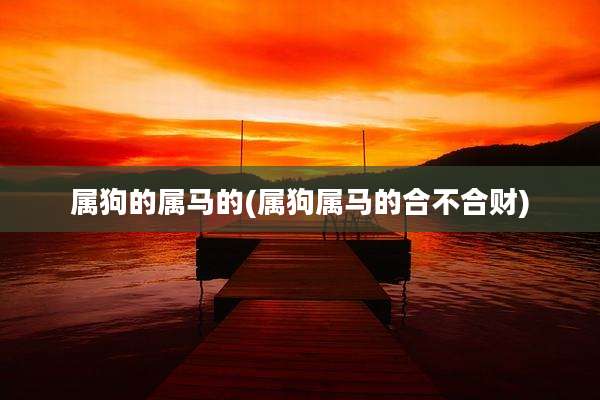 属狗的属马的(属狗属马的合不合财)