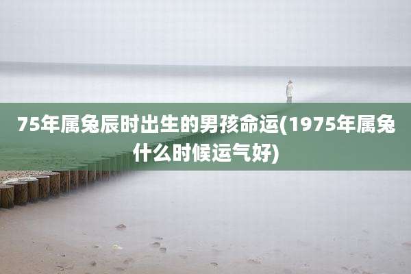75年属兔辰时出生的男孩命运(1975年属兔什么时候运气好)