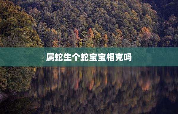 属蛇生个蛇宝宝相克吗