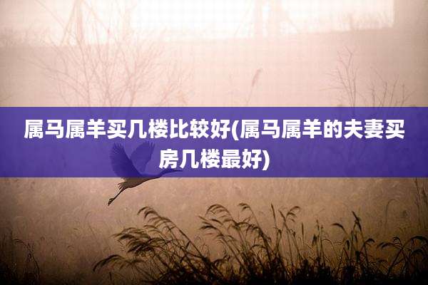 属马属羊买几楼比较好(属马属羊的夫妻买房几楼最好)