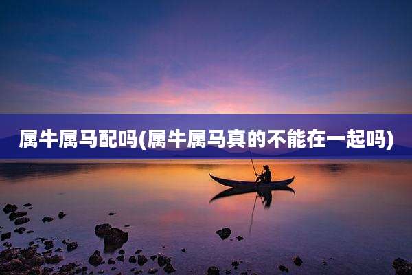 属牛属马配吗(属牛属马真的不能在一起吗)