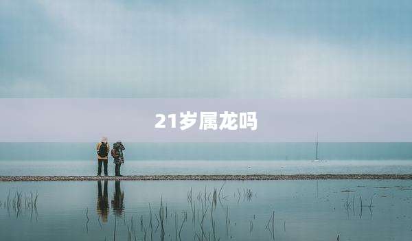 21岁属龙吗