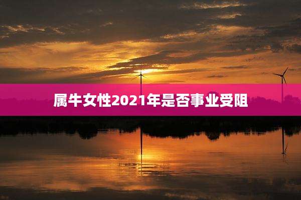 属牛女性2021年是否事业受阻