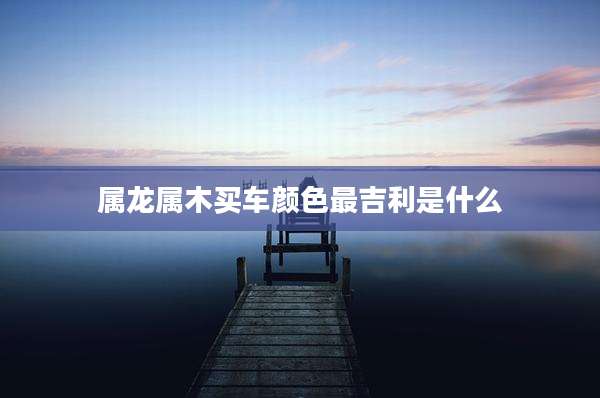 属龙属木买车颜色最吉利是什么