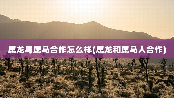 属龙与属马合作怎么样(属龙和属马人合作)