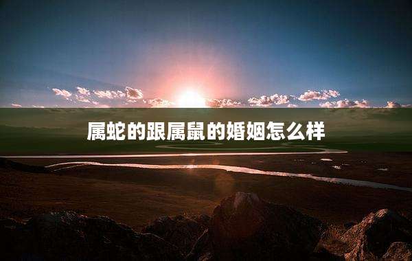 属蛇的跟属鼠的婚姻怎么样