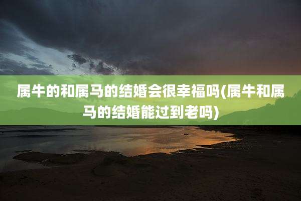 属牛的和属马的结婚会很幸福吗(属牛和属马的结婚能过到老吗)