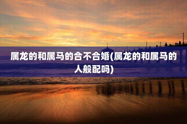 属龙的和属马的合不合婚(属龙的和属马的人般配吗)