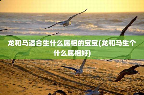 龙和马适合生什么属相的宝宝(龙和马生个什么属相好)