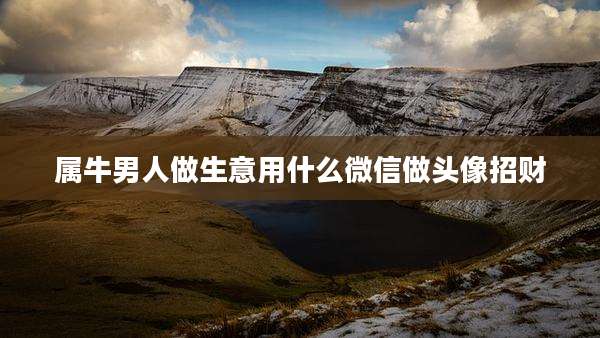 属牛男人做生意用什么微信做头像招财