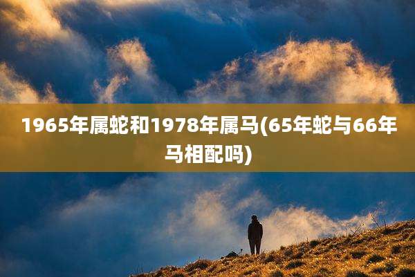 1965年属蛇和1978年属马(65年蛇与66年马相配吗)