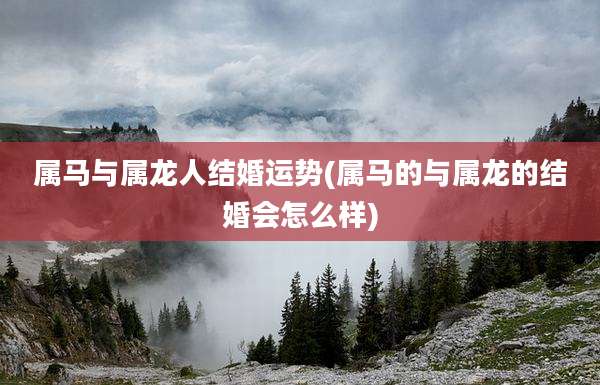 属马与属龙人结婚运势(属马的与属龙的结婚会怎么样)