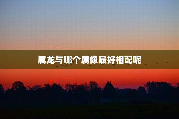属龙与哪个属像最好相配呢