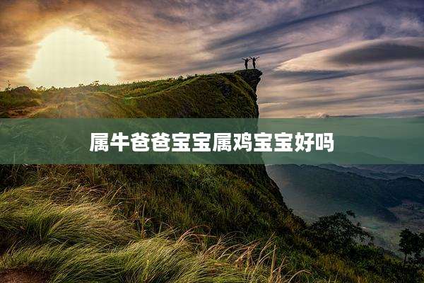 属牛爸爸宝宝属鸡宝宝好吗