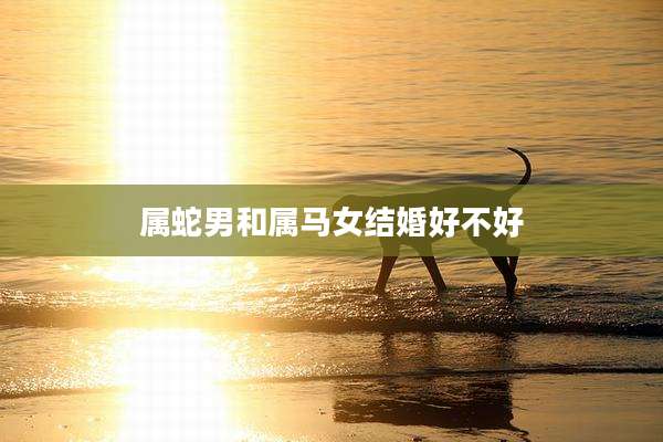 属蛇男和属马女结婚好不好