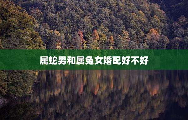 属蛇男和属兔女婚配好不好