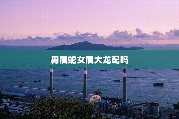 男属蛇女属大龙配吗