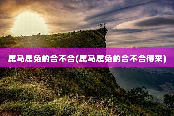 属马属兔的合不合(属马属兔的合不合得来)