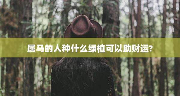 属马的人种什么绿植可以助财运?