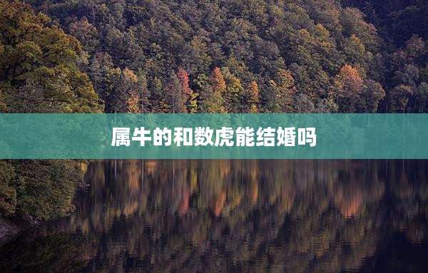 属牛的和数虎能结婚吗