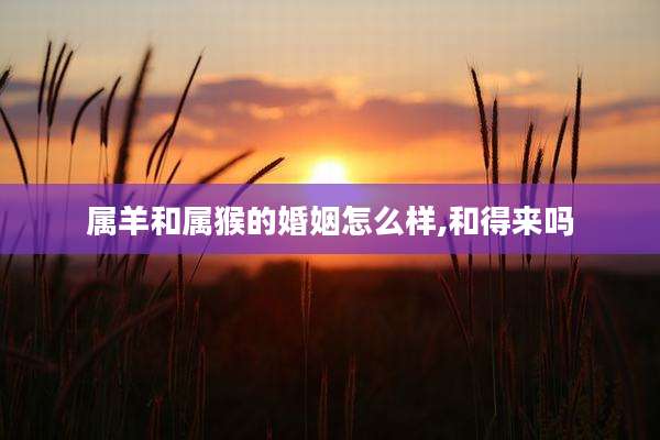 属羊和属猴的婚姻怎么样,和得来吗