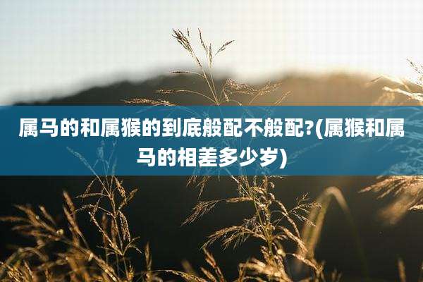 属马的和属猴的到底般配不般配?(属猴和属马的相差多少岁)