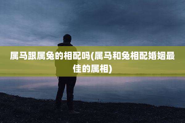 属马跟属兔的相配吗(属马和兔相配婚姻最佳的属相)