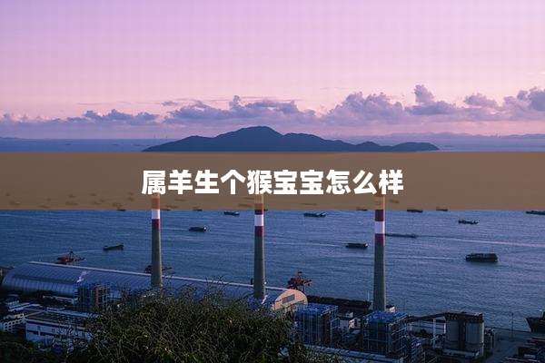 属羊生个猴宝宝怎么样