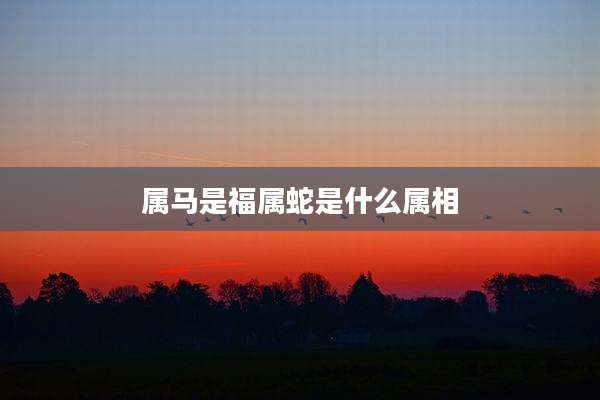 属马是福属蛇是什么属相