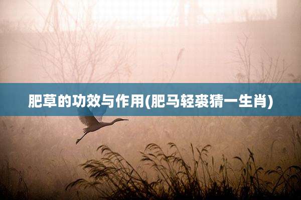 肥草的功效与作用(肥马轻裘猜一生肖)