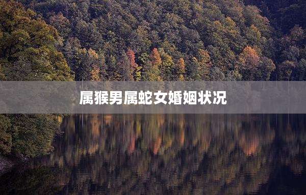 属猴男属蛇女婚姻状况