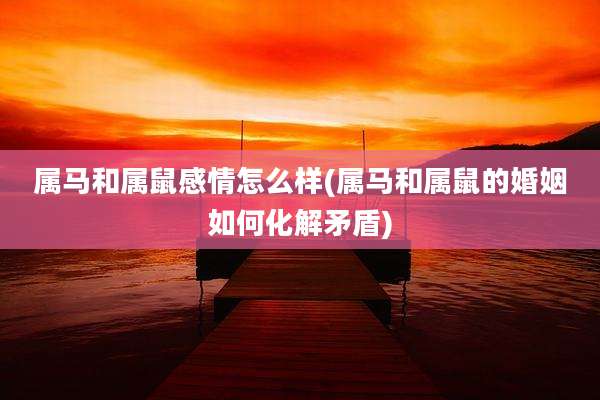 属马和属鼠感情怎么样(属马和属鼠的婚姻如何化解矛盾)