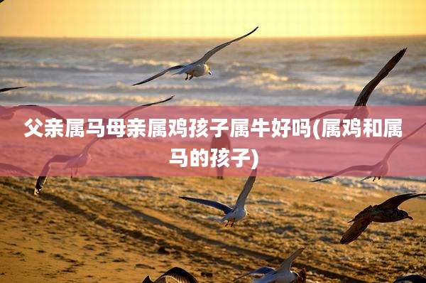 父亲属马母亲属鸡孩子属牛好吗(属鸡和属马的孩子)