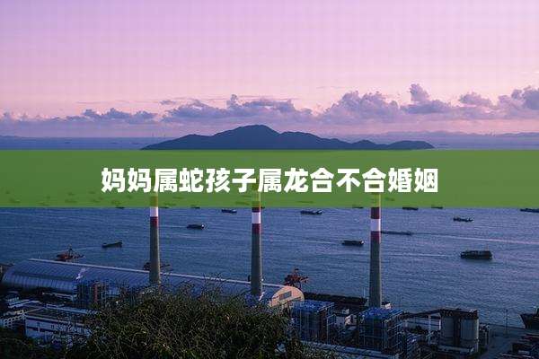 妈妈属蛇孩子属龙合不合婚姻