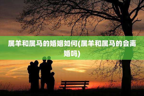 属羊和属马的婚姻如何(属羊和属马的会离婚吗)