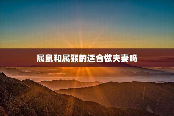 属鼠和属猴的适合做夫妻吗