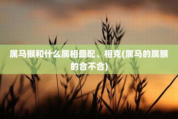 属马猴和什么属相最配、相克(属马的属猴的合不合)