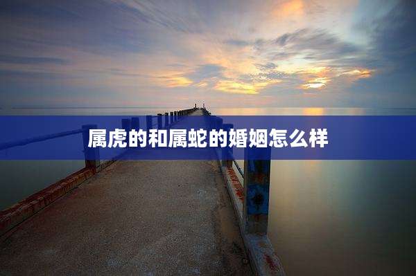 属虎的和属蛇的婚姻怎么样