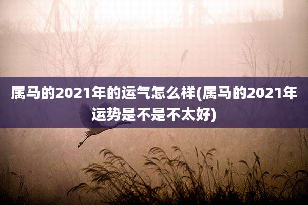 属马的2021年的运气怎么样(属马的2021年运势是不是不太好)