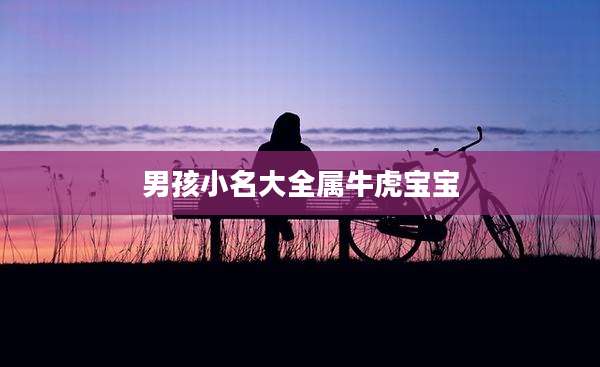 男孩小名大全属牛虎宝宝