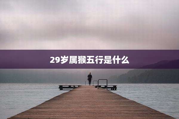 29岁属猴五行是什么