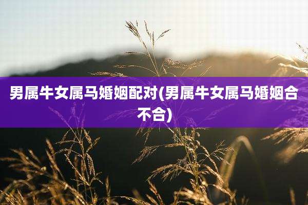 男属牛女属马婚姻配对(男属牛女属马婚姻合不合)